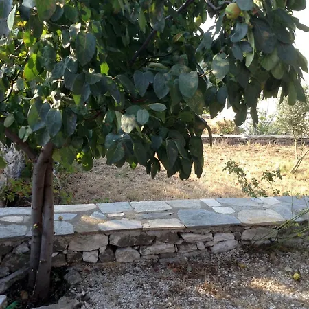 Traditional Stone House In A Great Garden Vakantiehuis Theologos (Thasos)